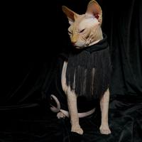 Orville Peck - Thumbnail 1