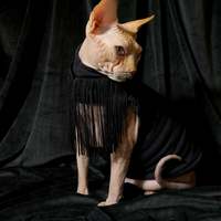 Orville Peck - Thumbnail 2