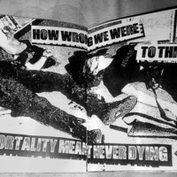 Broiling For Columbine - Thumbnail 4