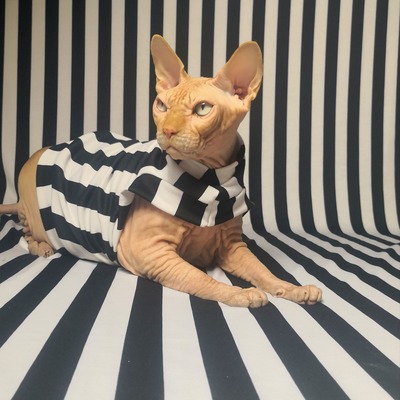 The real beetlejuice