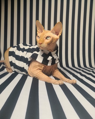 The Real Beetlejuice