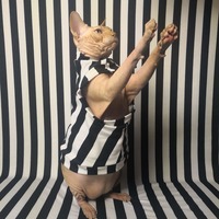 The Real Beetlejuice - Thumbnail 1