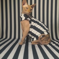 The Real Beetlejuice - Thumbnail 2