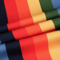 RAINBOW DUNGAREES - Thumbnail 4