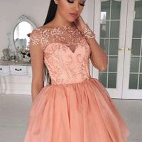 SP1217,Blush Pink Lace Homecoming Dresses,Long Sleeves Applique Homecoming Dresses,Mini Chiffon Homecoming Dresses - Thumbnail 1