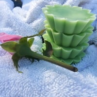 Magick Melts Set of 5 sampler - Thumbnail 2