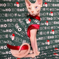 I Got Ho's! - Thumbnail 2