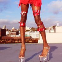 Anise Choker ( Red + Silver ) - Thumbnail 2