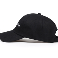 Free Shipping-"ALL POLITICIANS LIE" CAP  - Thumbnail 2