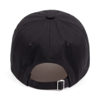 Free Shipping-"ALL POLITICIANS LIE" CAP  - Thumbnail 3