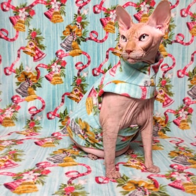 Ding-a-ling - luxe fleece