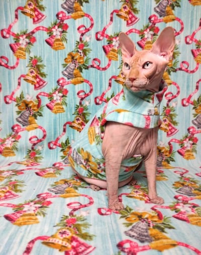 Ding-A-Ling - Luxe Fleece