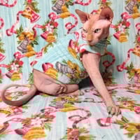 Ding-A-Ling - Luxe Fleece - Thumbnail 1