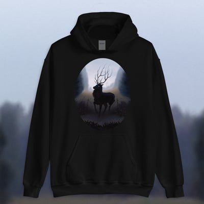 Ash & hair - pullover hoodie