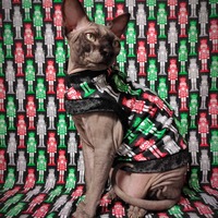 Nutcracker Sweet - Thumbnail 2