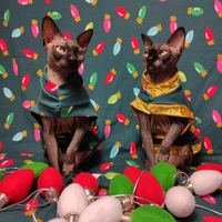 Light It Up! - Thumbnail 1