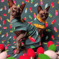 Light It Up! - Thumbnail 2