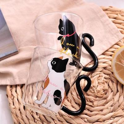 Cute kitten cat glass