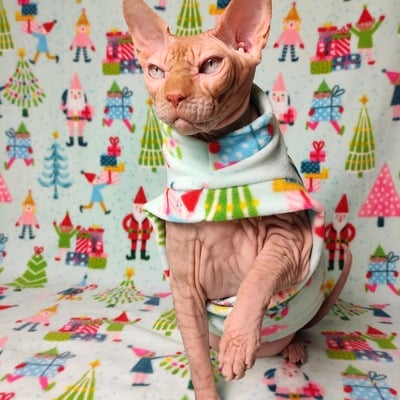 Santa's little helpers - luxe fleece