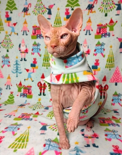 Santa's Little Helpers - Luxe Fleece