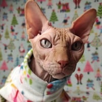 Santa's Little Helpers - Luxe Fleece - Thumbnail 1