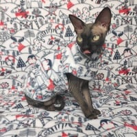 Ikea Wonderland - Thumbnail 2