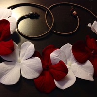 NEW Candy Cane Halo - Thumbnail 1