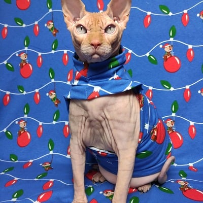 Chippendale's - Thumbnail 5