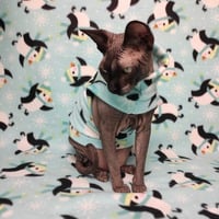 Frolicking Penguins - Thumbnail 2