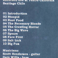 SCOTT HENDERSON Tribal Tech CHILE 1994 DVD - Thumbnail 1