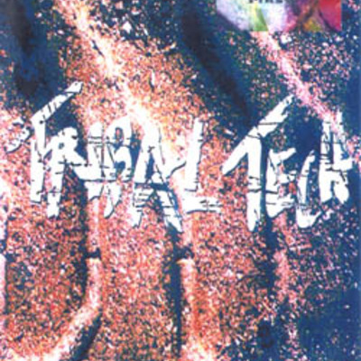 Scott henderson tribal tech live at baltimore 1994 2dvd - Thumbnail 3