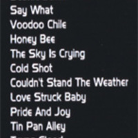 STEVIE RAY VAUGHAN Live Australia'84 DVD - Thumbnail 1