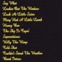 STEVIE RAY VAUGHAN DES MOINES,IOWA '87 DVD - Thumbnail 1