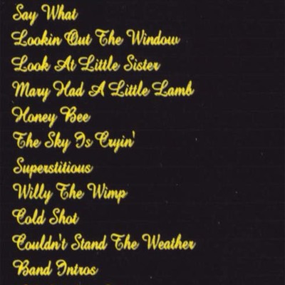 Stevie ray vaughan des moines,iowa '87 dvd