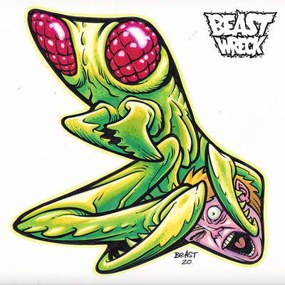 MANTIS Shape color artwork