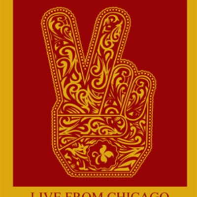 Stone temple pilots live in chicago, il 03.23.2010 dvd