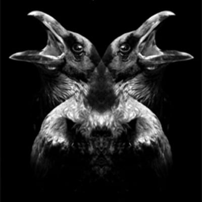 Alice in chains bilbao bbk live 07.09.2010 dvd