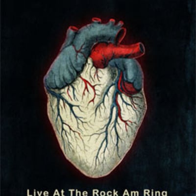 Alice in chains live at the rock am ring 06.04.2010 dvd