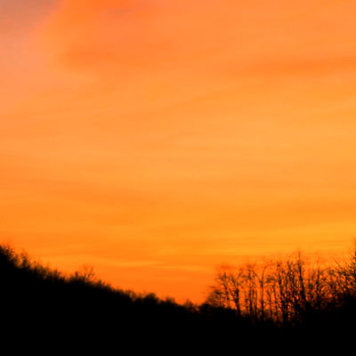 Hellhounds- orange sunset 11x17 poster