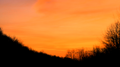 Hellhounds- Orange Sunset 11x17 poster