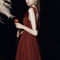 Burgundy tulle long A line prom dress evening dress - Thumbnail 3