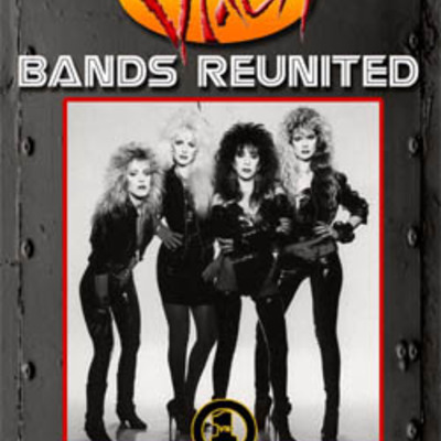 Vixen bands reunited vh1 dvd