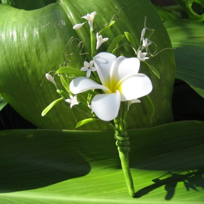 Plumeria corsage/boutonniere!!