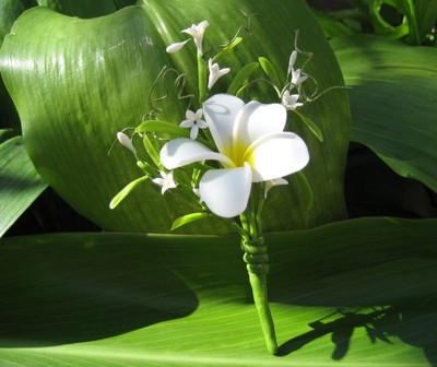 PLUMERIA CORSAGE/BOUTONNIERE!!