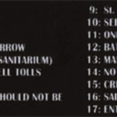 Metallica rock am ring 8.6.03 dvd