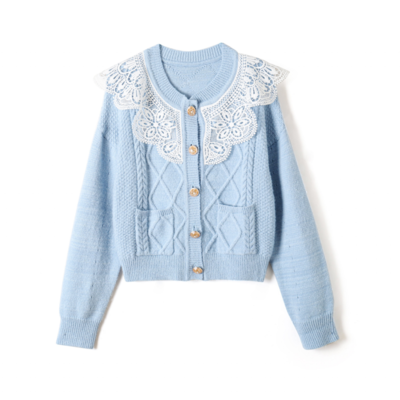 New sexy lace lapel sweater