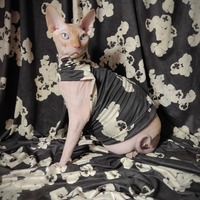 My Insatiable One - Thumbnail 2