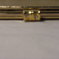 Gold Clutch - Thumbnail 1