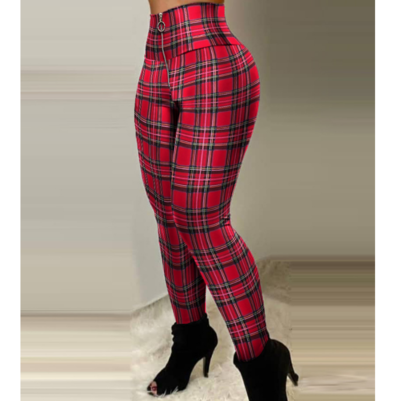 Check Print Skinny Pants