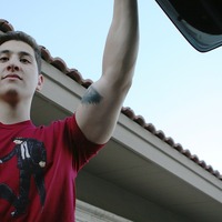 Pulp Dogs - Thumbnail 2